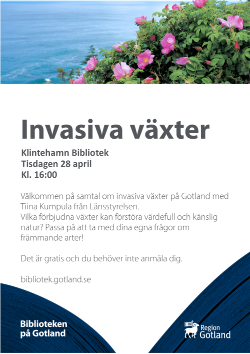 invasiva Klinte liten invasiva Klinte liten